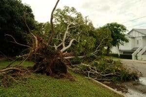Blog - v&v exteriors & remodeling co. Roof inspection after high winds